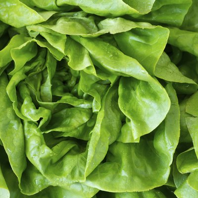 Fresh Lettuce at the market