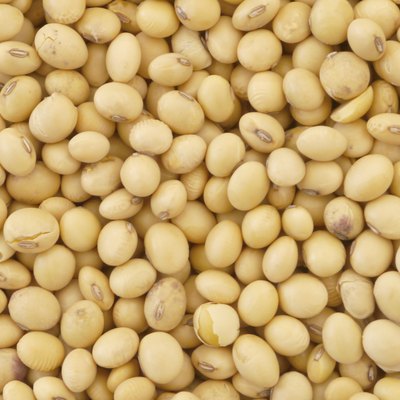soy bean pattern as background