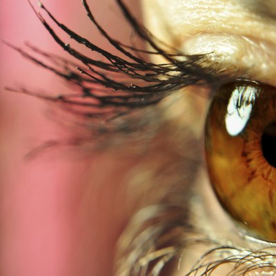 beautiful brown eye behind lush lashes