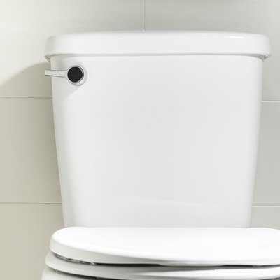Toilet bowl