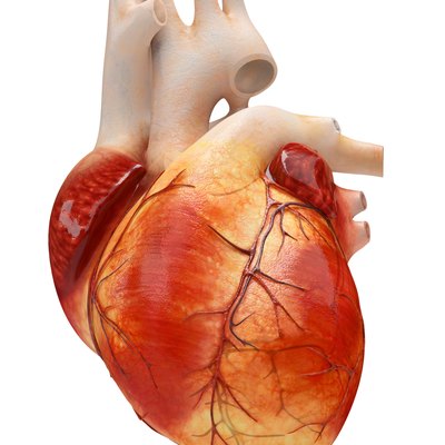 Heart Disease | Livestrong.com