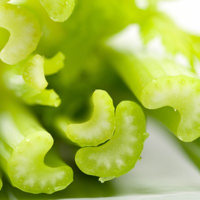 Celery