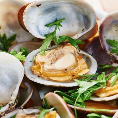 Clams steamed