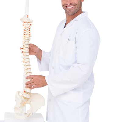 Chiropractor showing spine model to camera