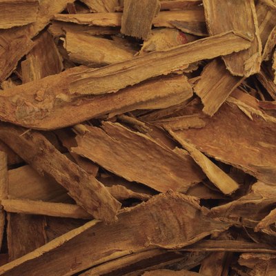 Close-up of a pile of cinnamon