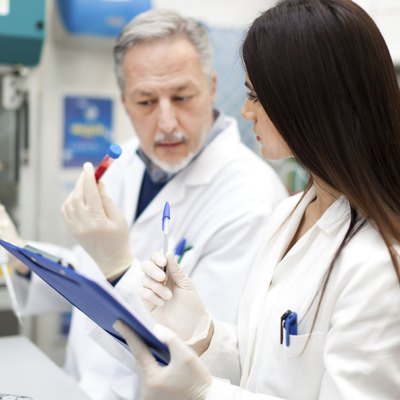 Scientists at work in a laboratory