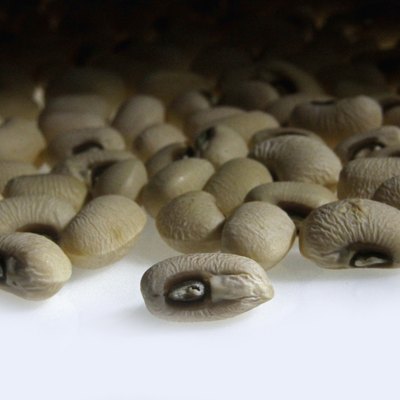 dried Black-Eyed Peas, Cowpea