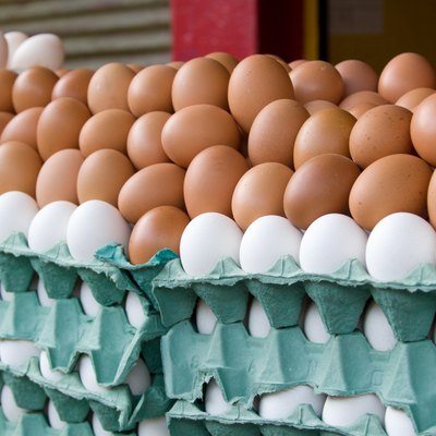 Ovos