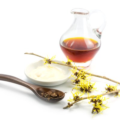 flowering witch hazel (Hamamelis), dried leaves, cream, essence