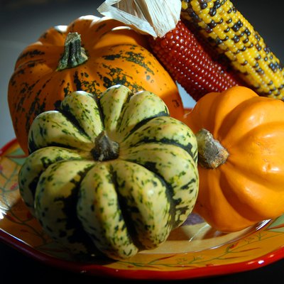 halloween gords and indian corn