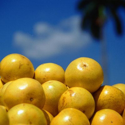 Grapefruits against blue sky, focus on foreground