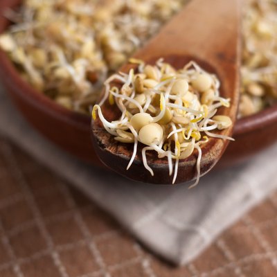 lentil sprouds
