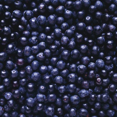Blueberries