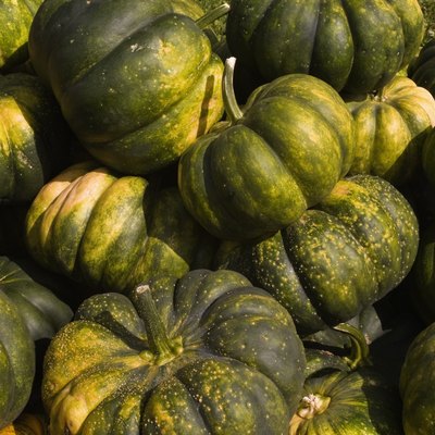 Squash