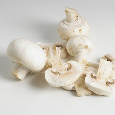 Pile of mushrooms