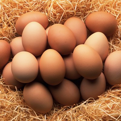 Mass of Brown Eggs, Close Up