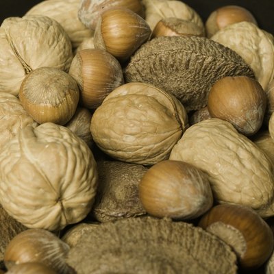 Mixed edible nuts in shells close-up