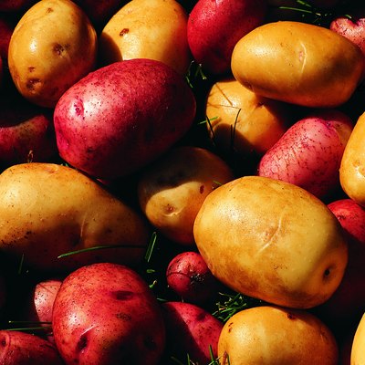 Red and gold potatoes