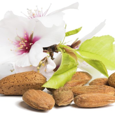 Almonds with flowers