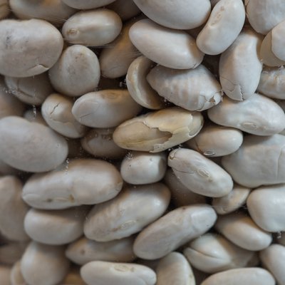 Lima beans in a glass jar