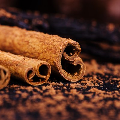 cinnamon sticks, vanilla, sprinkled with cocoa