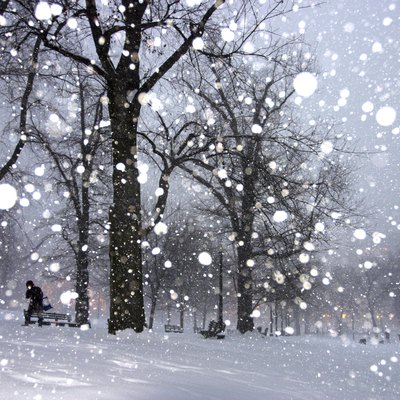 Boston Winter