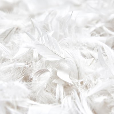 soft, weightless, gentle bird plumage texture for pillow