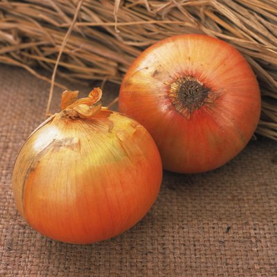 Closed Up Image of Two Onions, Next to Some Straw, High Angle View