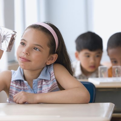 Hispanic girl looking at spider specimen in plastic