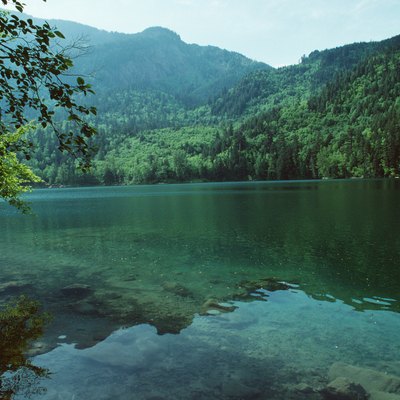 Remote lake in forest, British Columbia, Canada