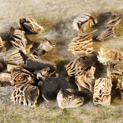 Dried black cohosh root, close up