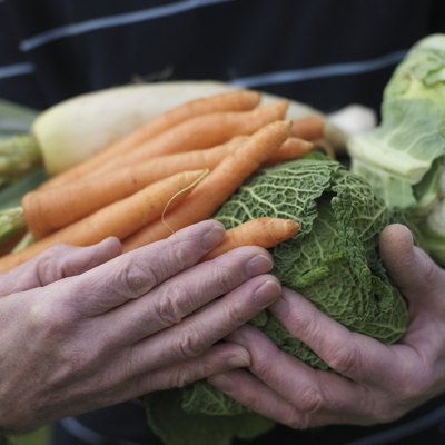Senior man holding vegetables, close-up