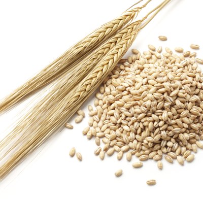 barley with grains