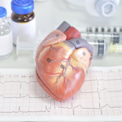 heart model and electrocardiograph