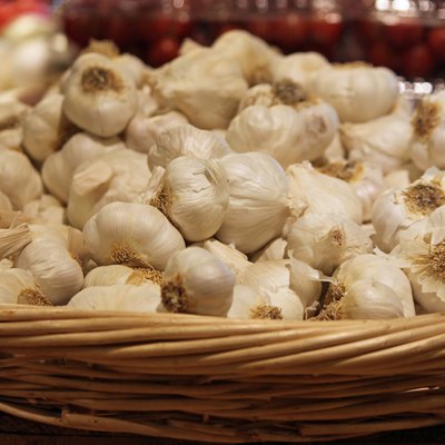 Basket of Garlic at the Farmers' Market