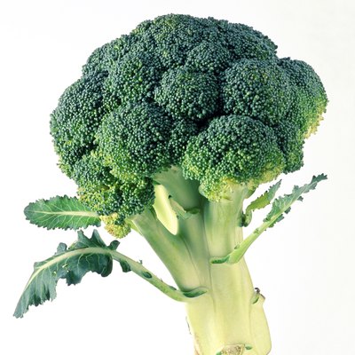 Broccoli