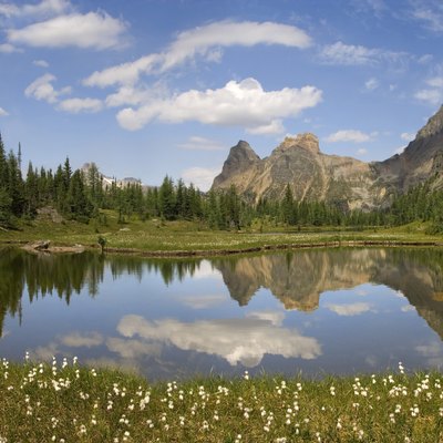 Reflection of mountains and trees in water, Moor Lake, Yoho National Park, British Columbia, Canada