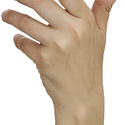 23553956