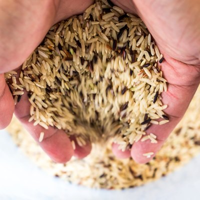 Hand holding raw brown rice