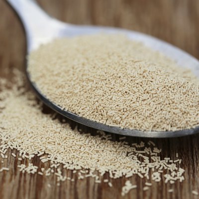 Yeast on a spoon