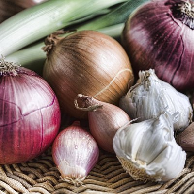 Onion Family