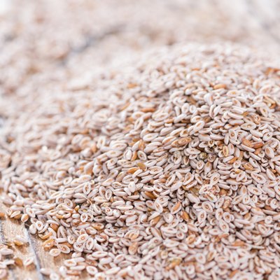 Psyllium Seeds