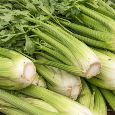 Fresh green celery in the market