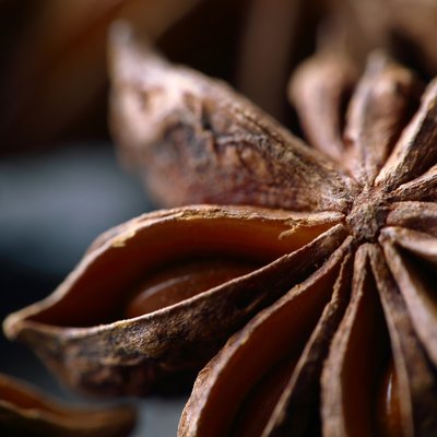 Star anise seeds. Macro