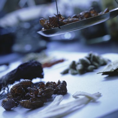 Samples being weighed in research laboratory