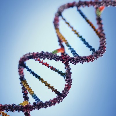DNA strand