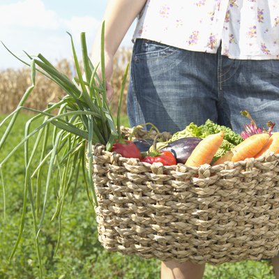 Teenage girl (16-18) holding basket of vegetables, mid section