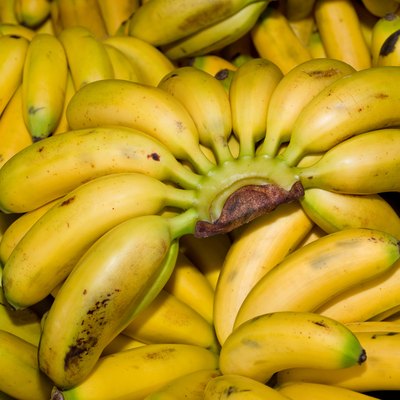 Baby bananas