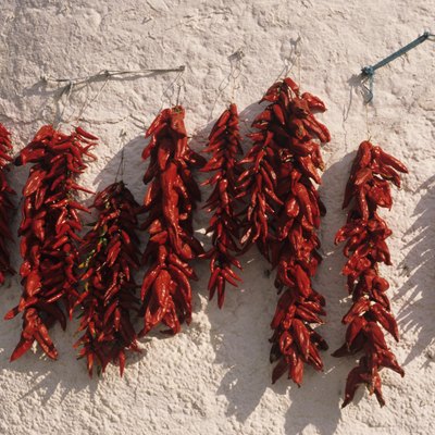 Red peppers hanging on wall, drying, Andalusia, Spain, close-up