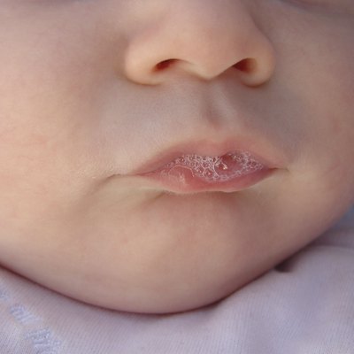 Blubber-Baby